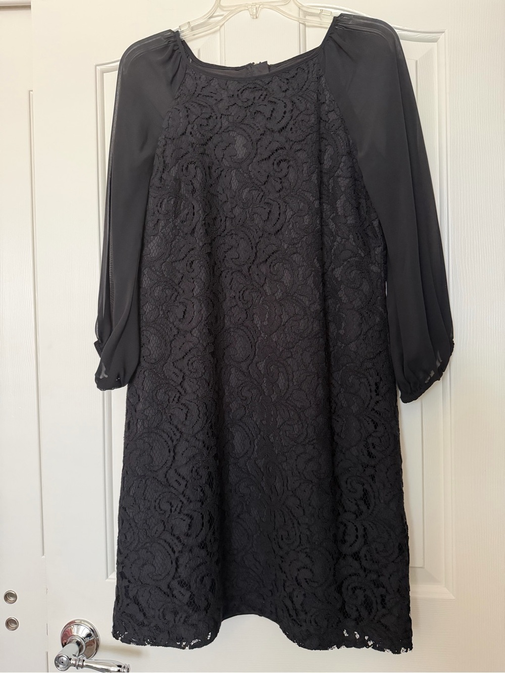 Adrianna Papell Black Lace Shift Dress with Sheer Sleeves